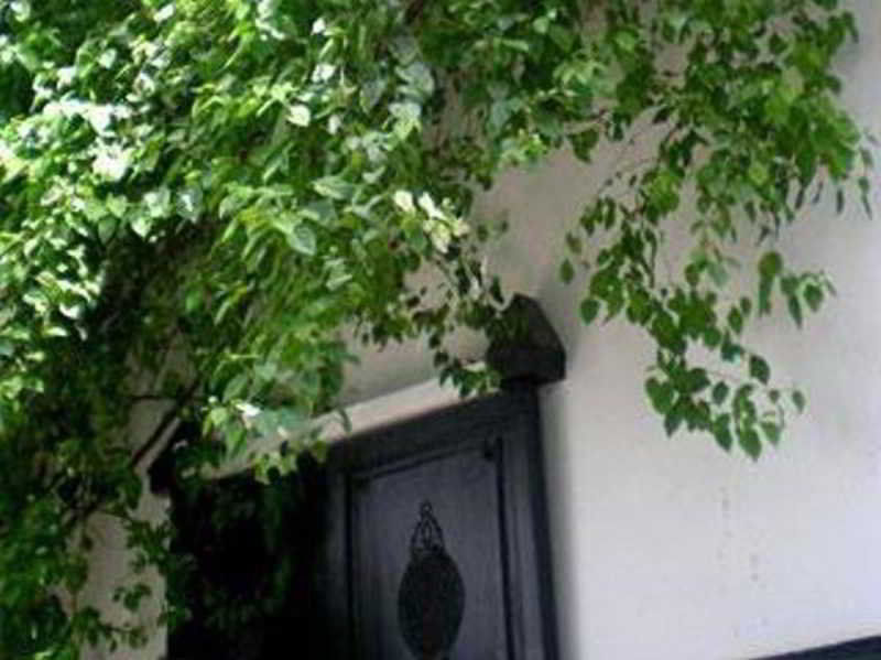 Riad Magellan Yoga And Spa Marakeş Dış mekan fotoğraf